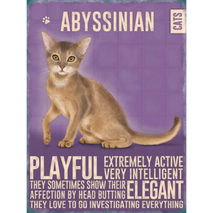 The Metal Sign Co - Fridge Magnet -  Abyssinian