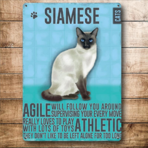 The Metal Sign Co - Mini - Siamese