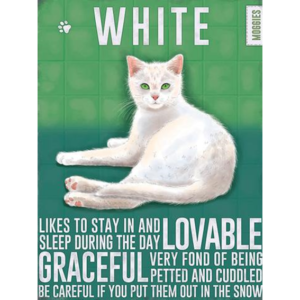 The Metal Sign Co - Mini - White