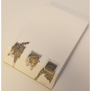 Pad Slant - Heads & Tails - Note Pad