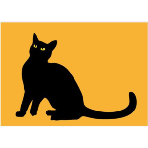 Postcard – Fresh Fish – Cat 4 – Orange - Sitting