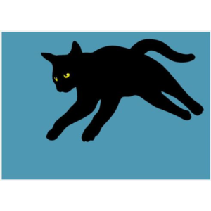 Postcard – Fresh Fish – Cat 8 – Blue - Jumping