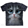 T-Shirt - Cutie Pie Kitten