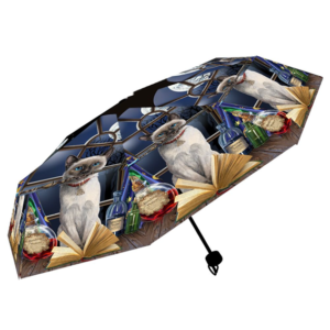 Paraply - Lisa Parker - Hocus Pocus Umbrella