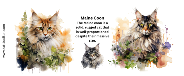 Porslin Mugg - Cat Breeds - Maine Coon - 325ml - Bild 2