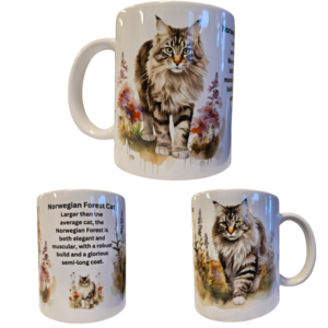 Mugg – Cat Breed – Norwegian Forest Cat