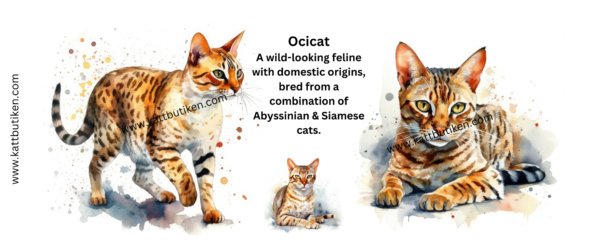 Porslin Mugg - Cat Breeds - Ocicat - Bild 2