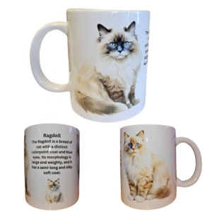 Mugg – Cat Breed – Ragdoll