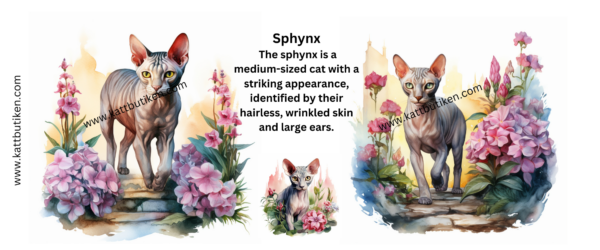 Porslin Mugg - Cat Breeds - Sphynx 325ml - Bild 2