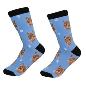 Strumpor – Sock Daddy – Rödtabby – 36–41