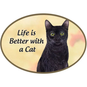 Magnet - E&S Pets - Black Cat