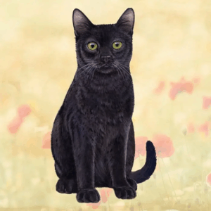 Underlägg - E&S Pets - Svart Katt