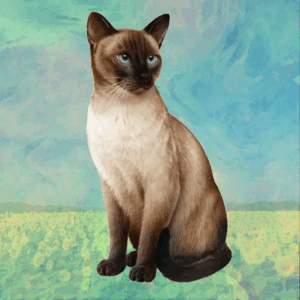 Underlägg - E&S Pets - Siames