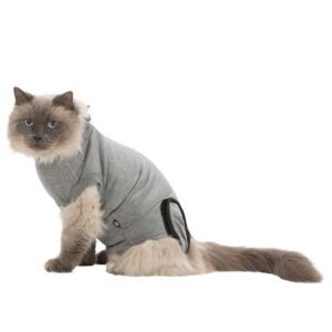 Skyddande body för katt – Generic – S-M (grå)