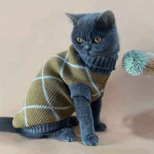 Katttröja – Khaki Rhombus Pattern – Medium