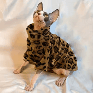 Katttröja – Leopardmönster – Medium