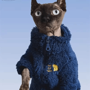 Katttröja – The Cat Face – Medium